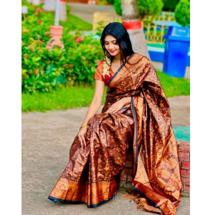 Soft silk katan sharee